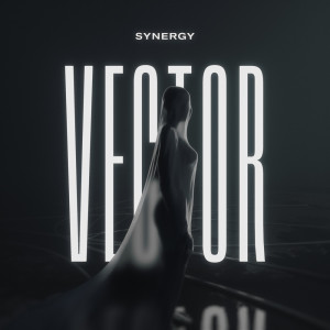 Synergy的专辑Vector