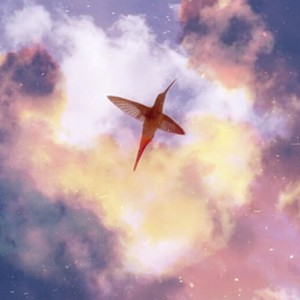 收聽Samadhee的Um Pássaro de Outra Vida歌詞歌曲