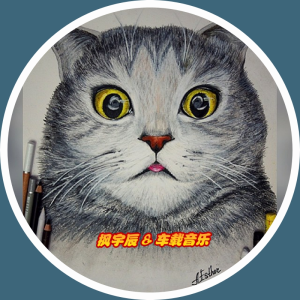 Listen to 小劲上头曲 (Remix) song with lyrics from 车载音乐