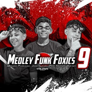 Leandro Fuxicando的專輯Medley Funk Foxics 9 (Explicit)