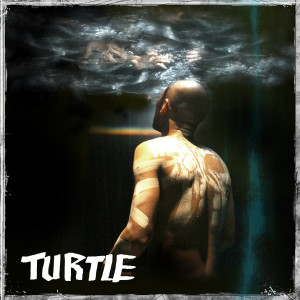 Listen to Turtle (Feat. MaseWonder, YunB) song with lyrics from 욘코
