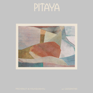 Listen to Pitaya song with lyrics from young.vishnu