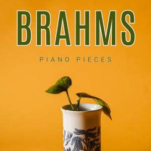Listen to Intermezzo No.1 in B Minor, Op.119: Johannes Brahms song with lyrics from Charles Hart