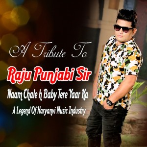 Raju Punjabi的专辑Naam Chale H Baby Tere Yaar Ka (A Tribute To Raju Punjabi Sir)