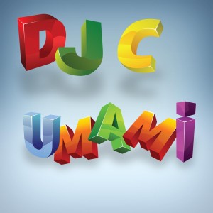ดาวน์โหลดและฟังเพลง This is a Riddim พร้อมเนื้อเพลงจาก DJ C