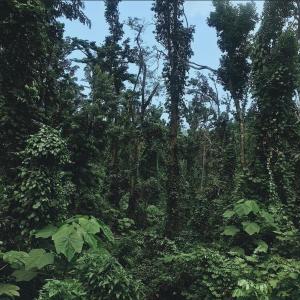 Dengarkan retrace your steps lagu dari Rvndy4l dengan lirik