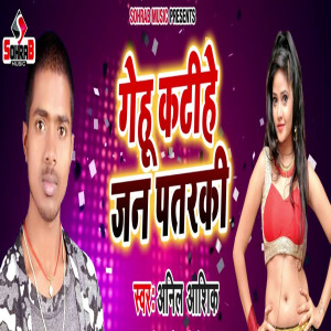 Listen to Gehu katihe Jan Patarki song with lyrics from Anil Aashiq