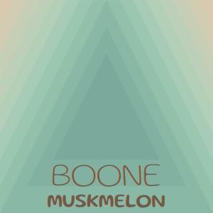收听Florenta Mulle的Boone Muskmelon歌词歌曲