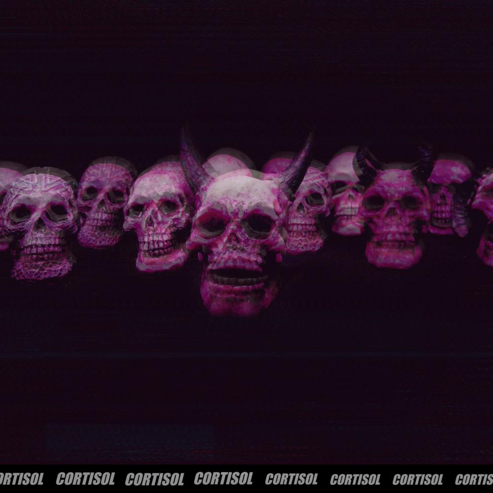 CORTISOL (Explicit)