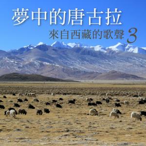 Listen to 朝雲暮雨 song with lyrics from 贵族乐团