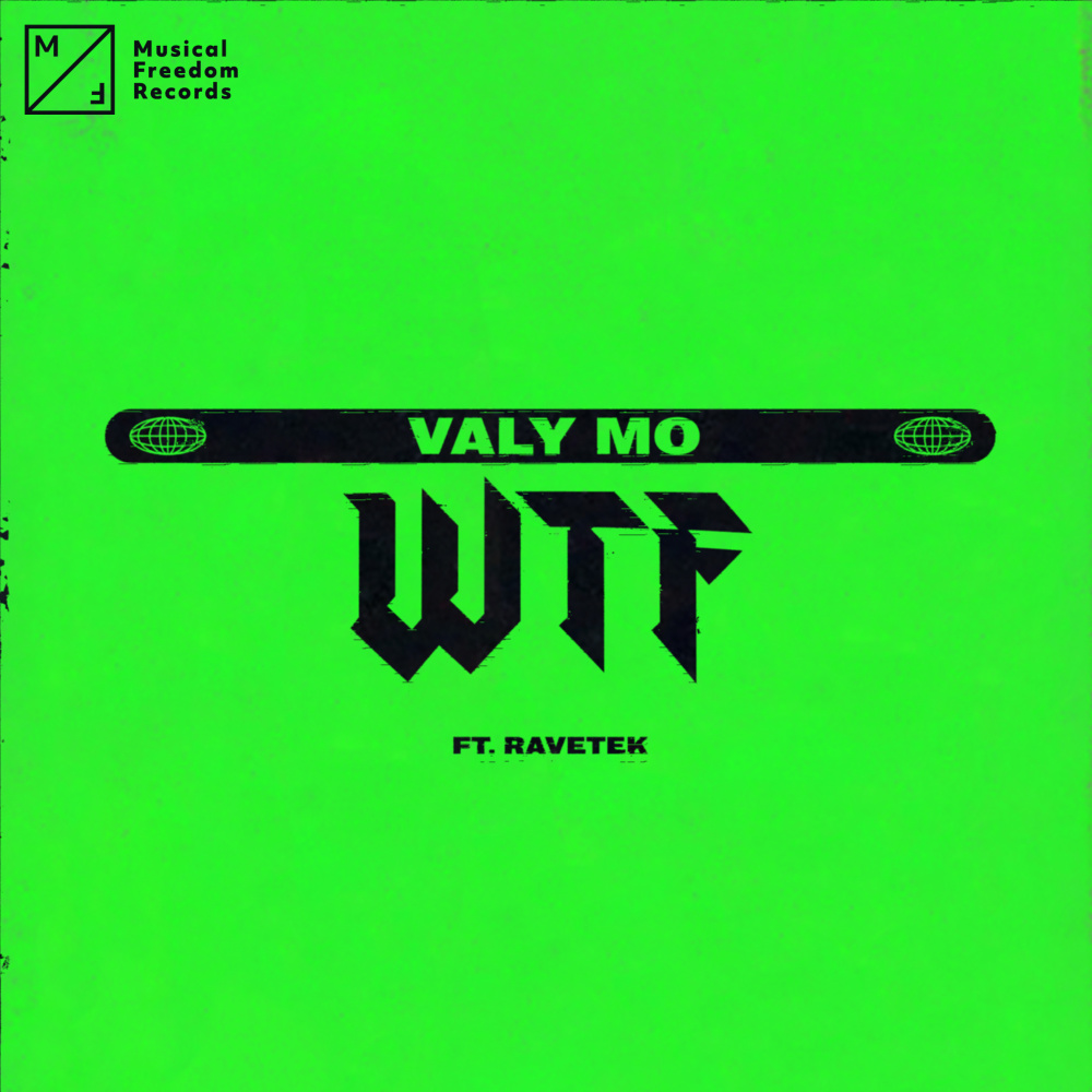 WTF (feat. Ravetek) (Explicit)