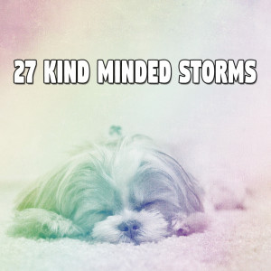 ดาวน์โหลดและฟังเพลง Storm Chill พร้อมเนื้อเพลงจาก Rain Sounds & White Noise