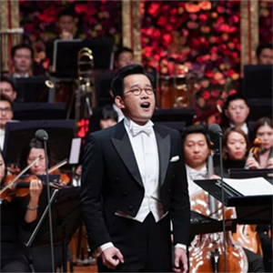 China NCPA Orchestra的专辑多尼采蒂：偷洒一滴泪，选自歌剧《爱之甘醇》（live）
