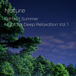 SPA Music的專輯Nature: Perfect Summer Night for Deep Relaxation Vol. 1