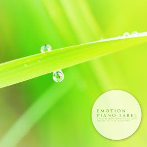 收聽In Bloom的Your Heart Is Pretty Nature Version (Nature Ver.)歌詞歌曲