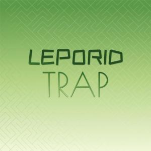 Various Artists的專輯Leporid Trap