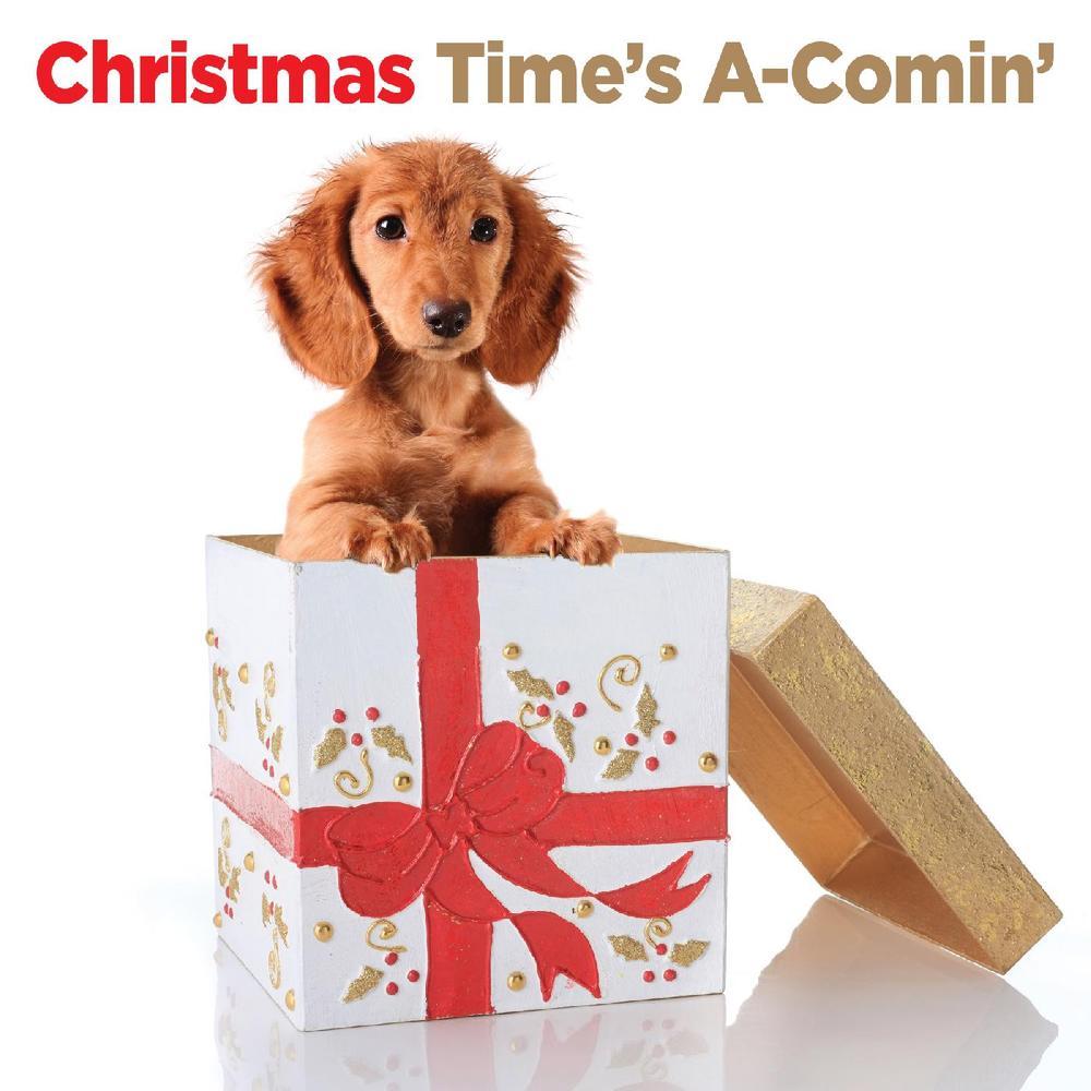A Howdy Doody Christmas