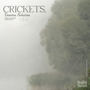 ดาวน์โหลดและฟังเพลง Calming Crikets at Night พร้อมเนื้อเพลงจาก 힐링 네이쳐 Nature Sound Band