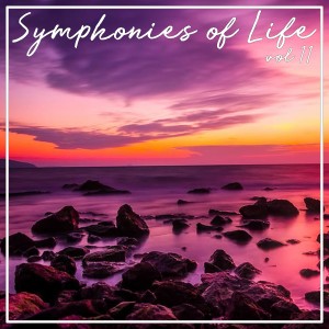 Album Symphonies of Life, Vol. 11 from Neue Orchester
