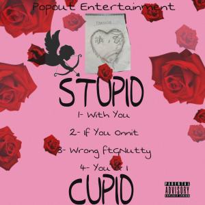 Paid2x的專輯Stupid Cupid