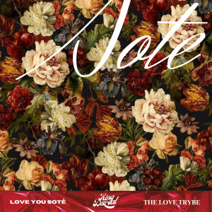 ดาวน์โหลดและฟังเพลง LOVE YOU SOTE พร้อมเนื้อเพลงจาก King Dareal