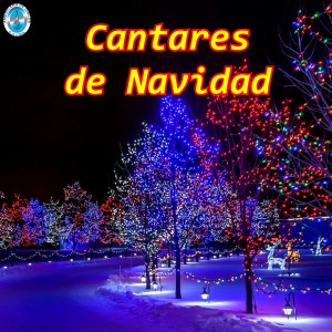 Listen to Solicito Esposa song with lyrics from Libardo Alvarez