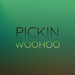 Various Artists的專輯Pickin Woohoo