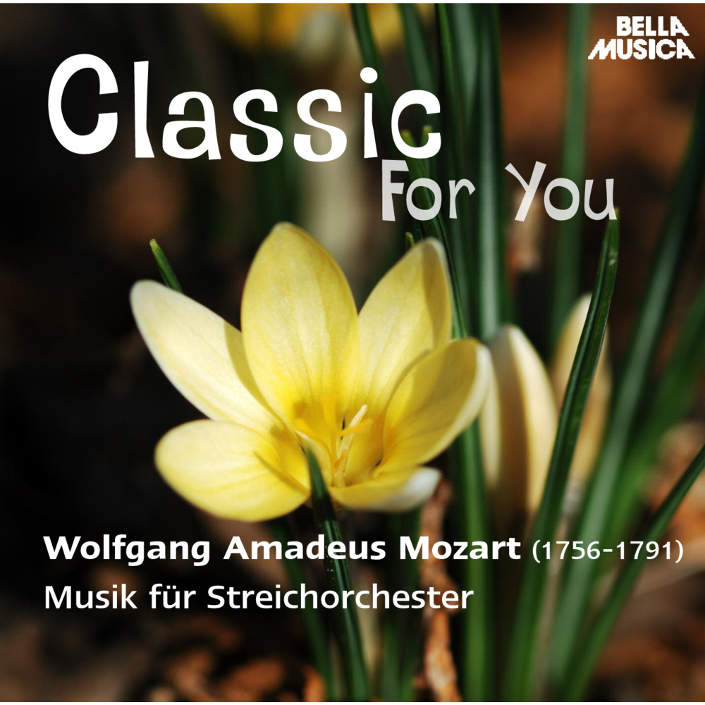 "Eine kleine Nachtmusik", Serenade für Streichorchester in G Major, No. 13: II. Romance - Andante
