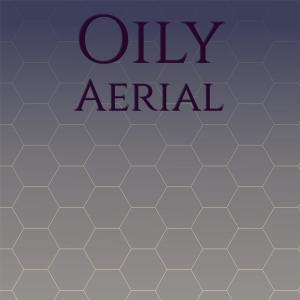 Various的专辑Oily Aerial