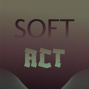 Various Artists的專輯Soft Act