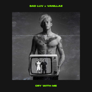 Listen to Cry With Me song with lyrics from SAD LUV