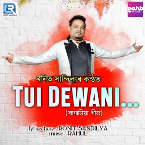 Listen to Tui Dewani song with lyrics from Ronit Sandilya