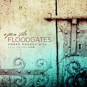 Amber Rhoads的專輯Open the Floodgates (Live)