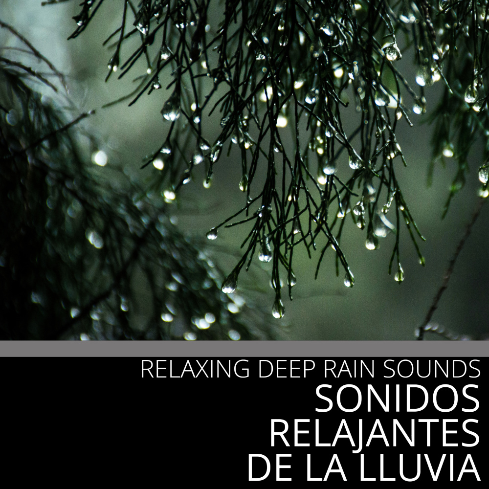 Relaxing Rain Sound (Sonidos Relajantes De La Lluvia)