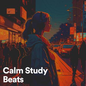 Album Calm Study Beats from Study Focus Help