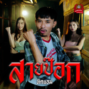 收听ทิดแอม的สายป๊อก歌词歌曲