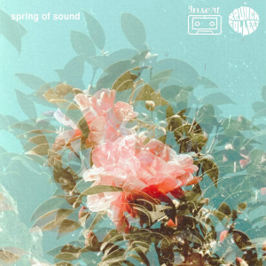[ocean jams]的專輯spring time echoplex