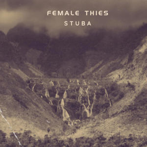 DJ Stuba的專輯FEMALE THIES