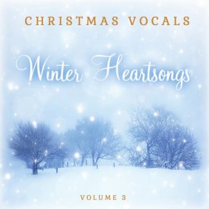 ดาวน์โหลดและฟังเพลง Come to the Manger พร้อมเนื้อเพลงจาก Cranberry Singers