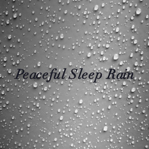 收聽Rain Sounds的Rain歌詞歌曲