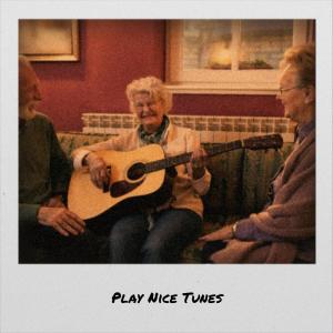 Various的专辑Play Nice Tunes