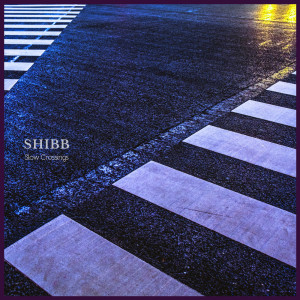 Shibb的專輯Slow Crossings