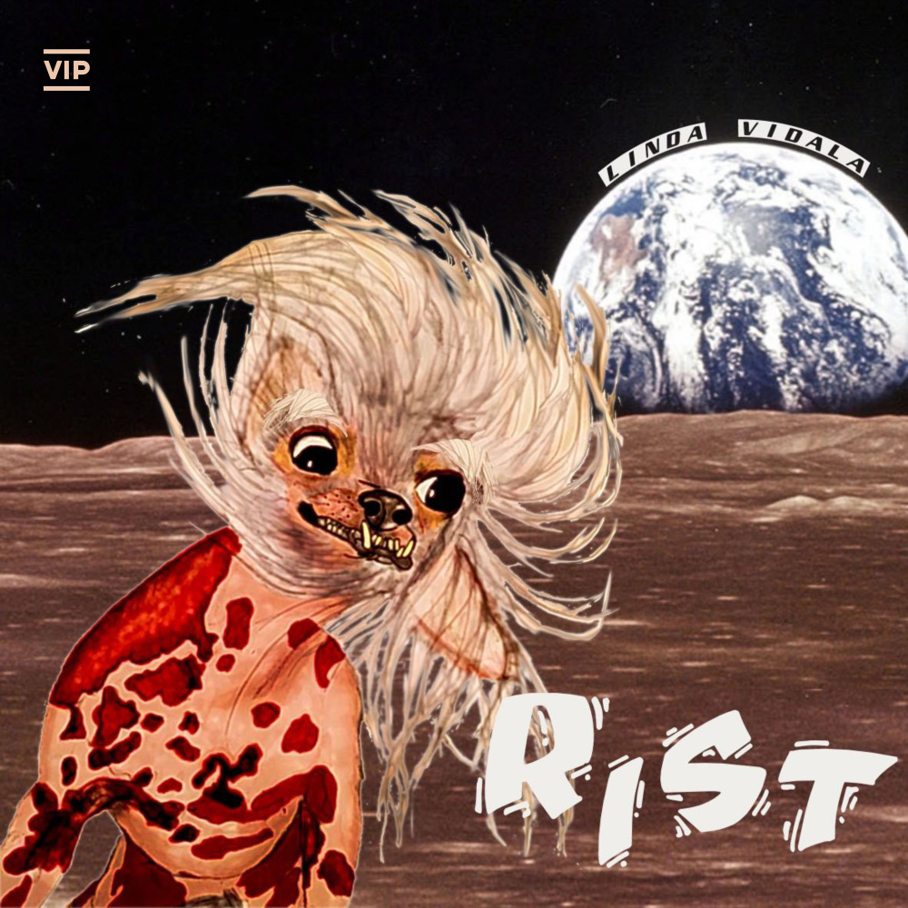 Rist (VIP Mix, Radio edit)