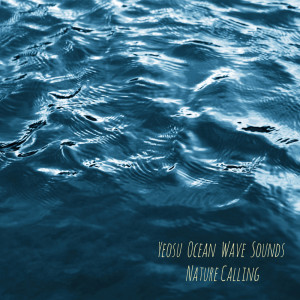 Dengarkan 여수바다 파도소리 Yeosu Ocean Wave Sounds lagu dari 네이쳐콜링 dengan lirik