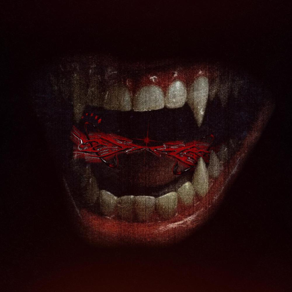 Wahnsinn (feat. Bombel) (Explicit)