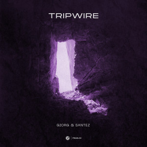 Album Tripwire from Giorg
