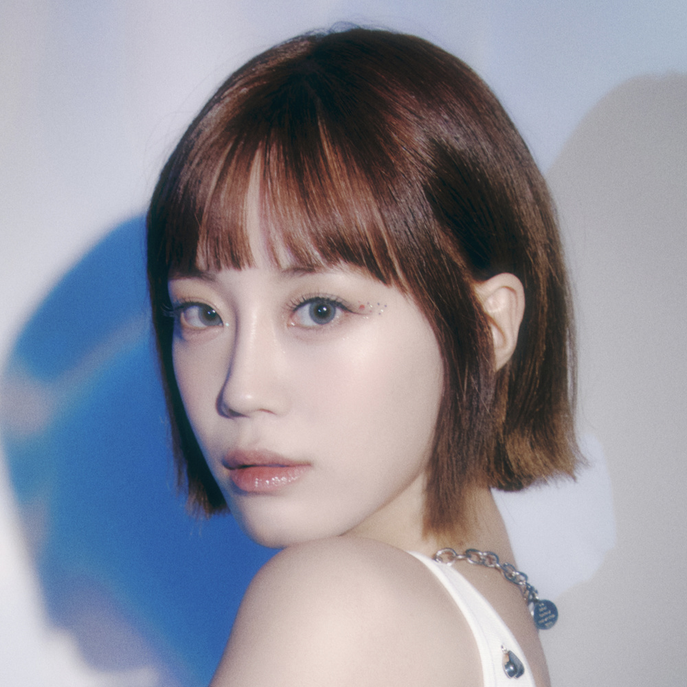 허영지