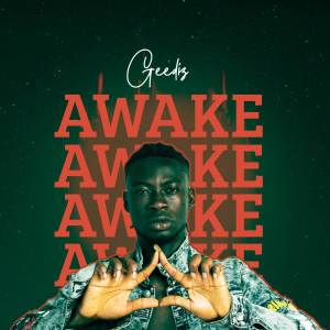 Geediz的專輯Awake
