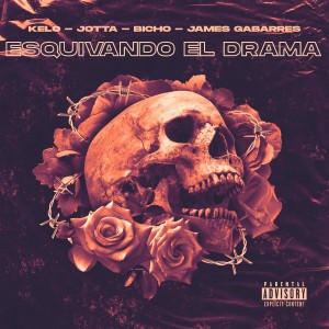Listen to Esquivando el Drama (Explicit) song with lyrics from James Gabarres