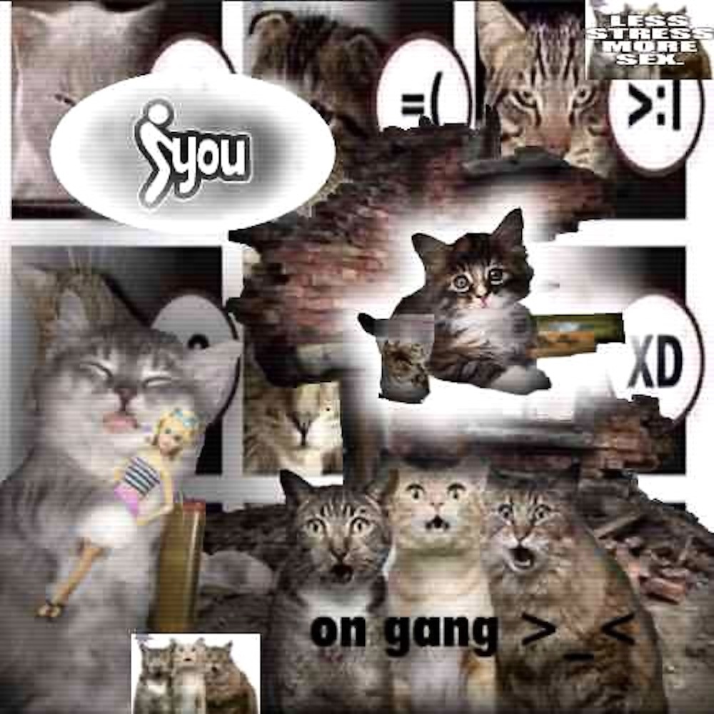 小猫 (Explicit)